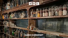 Secret Somerset