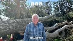No sign of moving fallen tree in Wolverhampton