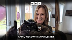 The cat from Worcester who went viral