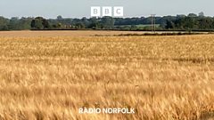 Food vs energy security: Reepham’s solar farm