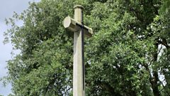 War grave tours to mark the 80th anniversary of VE Day