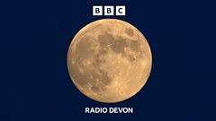 The joy of full moon swimming in Devon