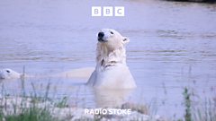 The Staffordshire Moorlands polar bears keeping cool