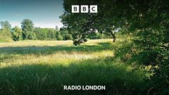 Why Spurs' new training ground was approved despite protests
