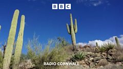 Hidden Cornwall