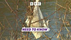 Need To Know Somerset