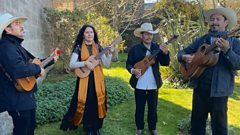 Musicians from round the world gather for Shetland Folk Festival