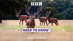Need to Know: Royal Parks issue deer warning to dog walkers this Spring