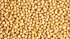 Soya beans