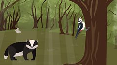 How Do Ecosystems Work? - BBC Bitesize