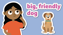 Comprehension - Year 3 English - BBC Bitesize