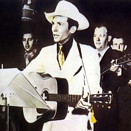Sally Goodin' (feat. Jerry Rivers)