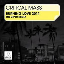 Burning Love (The Viper Remix)