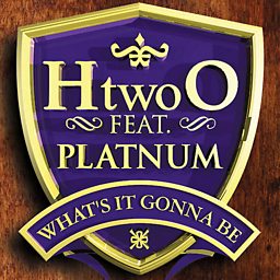 What's It Gonna Be (feat. Platnum)