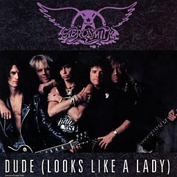 Dude (Looks Like A Lady)