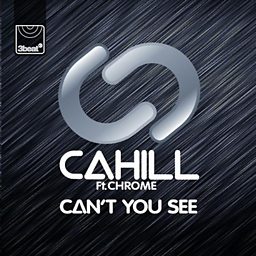 Can't See You (feat. Chrome)
