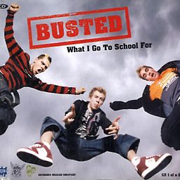 What I Go To School For