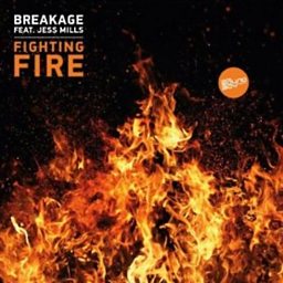 Fighting Fire (feat. Jess Mills)