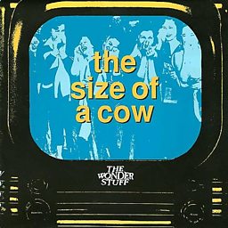 The Size Of A Cow