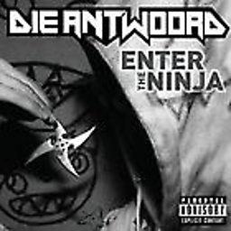Enter The Ninja