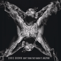 Don't Think They Know (feat. Aaliyah)
