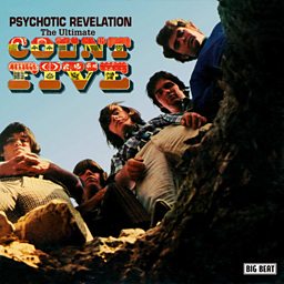 Psychotic Reaction