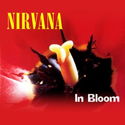 In Bloom
