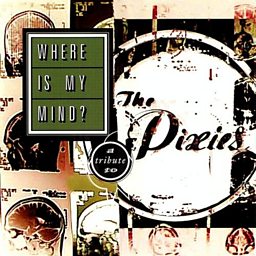 Where Is My Mind?