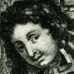 Elevation, H408