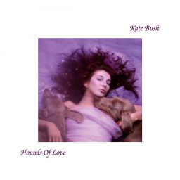 Hounds Of Love