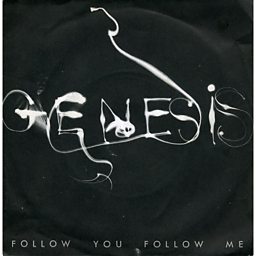 Follow You Follow Me
