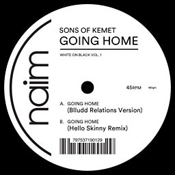 Going Home (Blludd Relations Version)