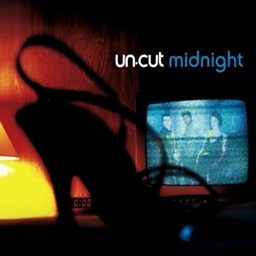 Midnight (M.I.S.T. VIP Remix)