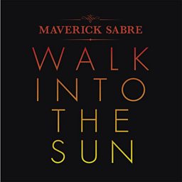 Walk Into The Sun