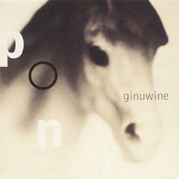 Pony