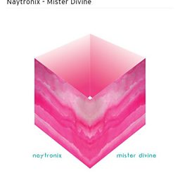 Mister Divine