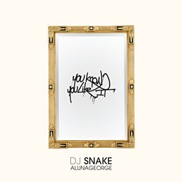 You Know You Like It (DJ Snake Remix)