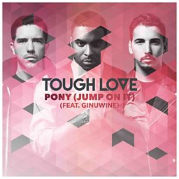 Pony (Jump On It) (feat. Ginuwine)