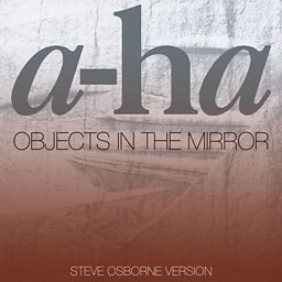 Objects In The Mirror