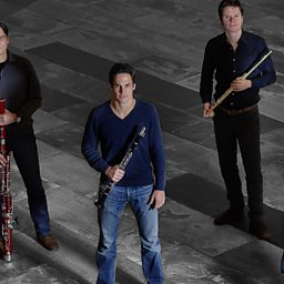Wind Quintet in G minor, Op.56`2