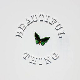 Beautiful Thing