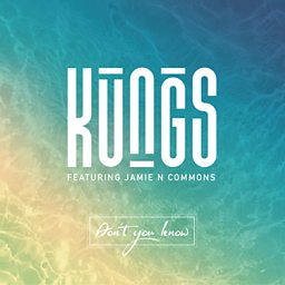 Don't You Know (feat. Jamie N Commons)