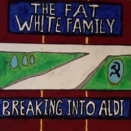 Breaking Into Aldi