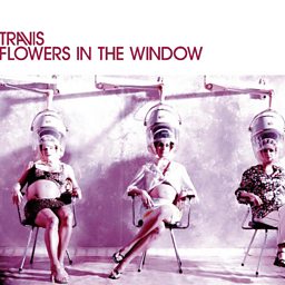 Flowers In The Window