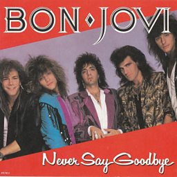 Never Say Goodbye