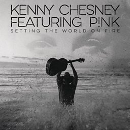 Setting The World On Fire (feat. P!nk)