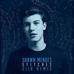 Stitches (SeeB Remix)
