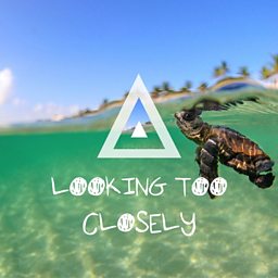 Looking Too Closely