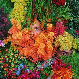 The Forest is Expecting You