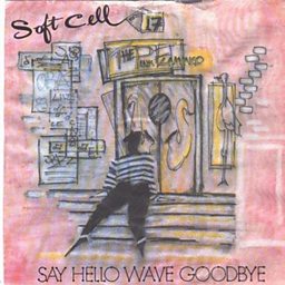 Say Hello, Wave Goodbye